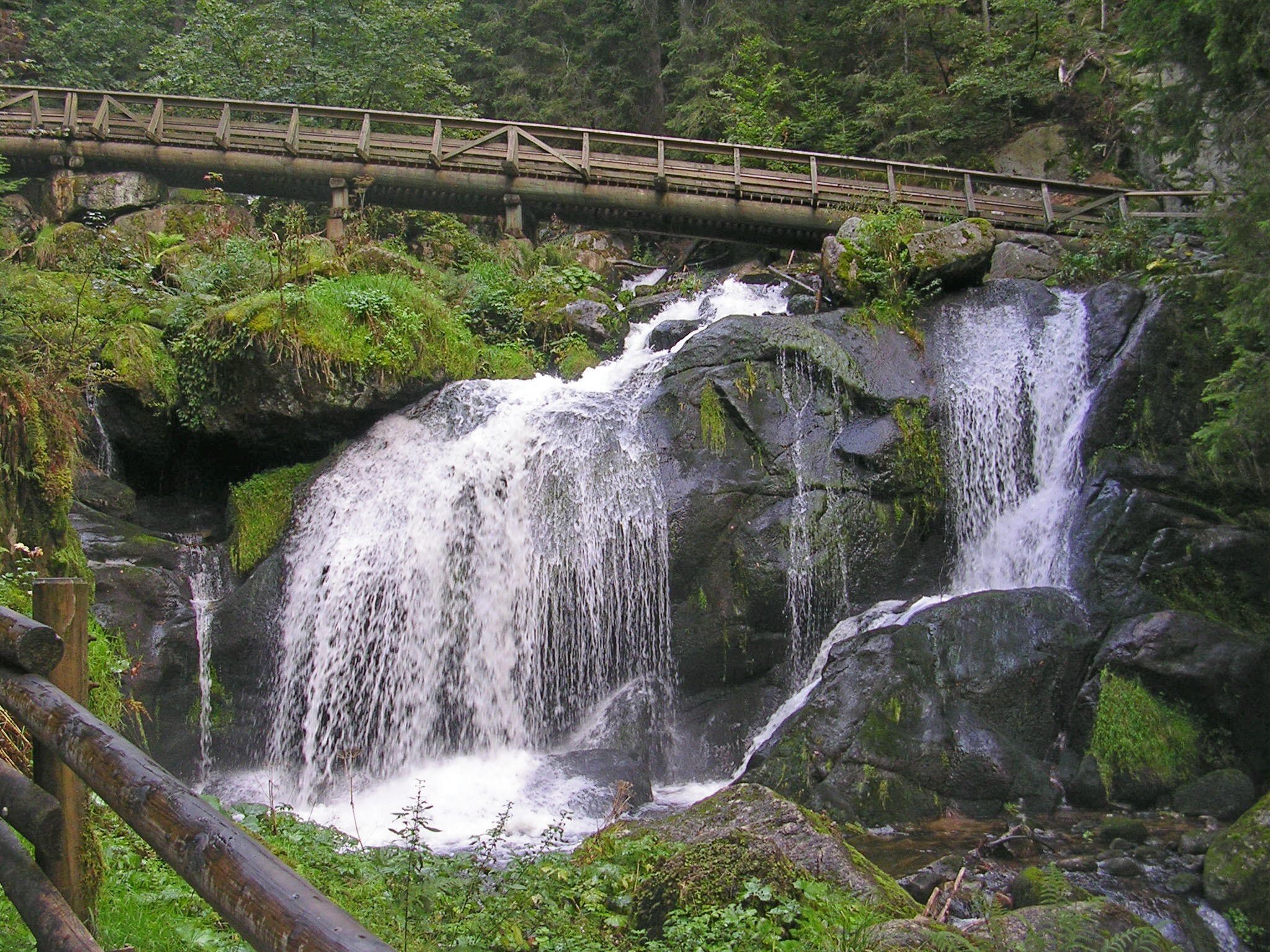 Freiburg et la Forêt Noire, Forêt Noire et Constance voyage scolaire
