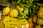 Citrons de Capri