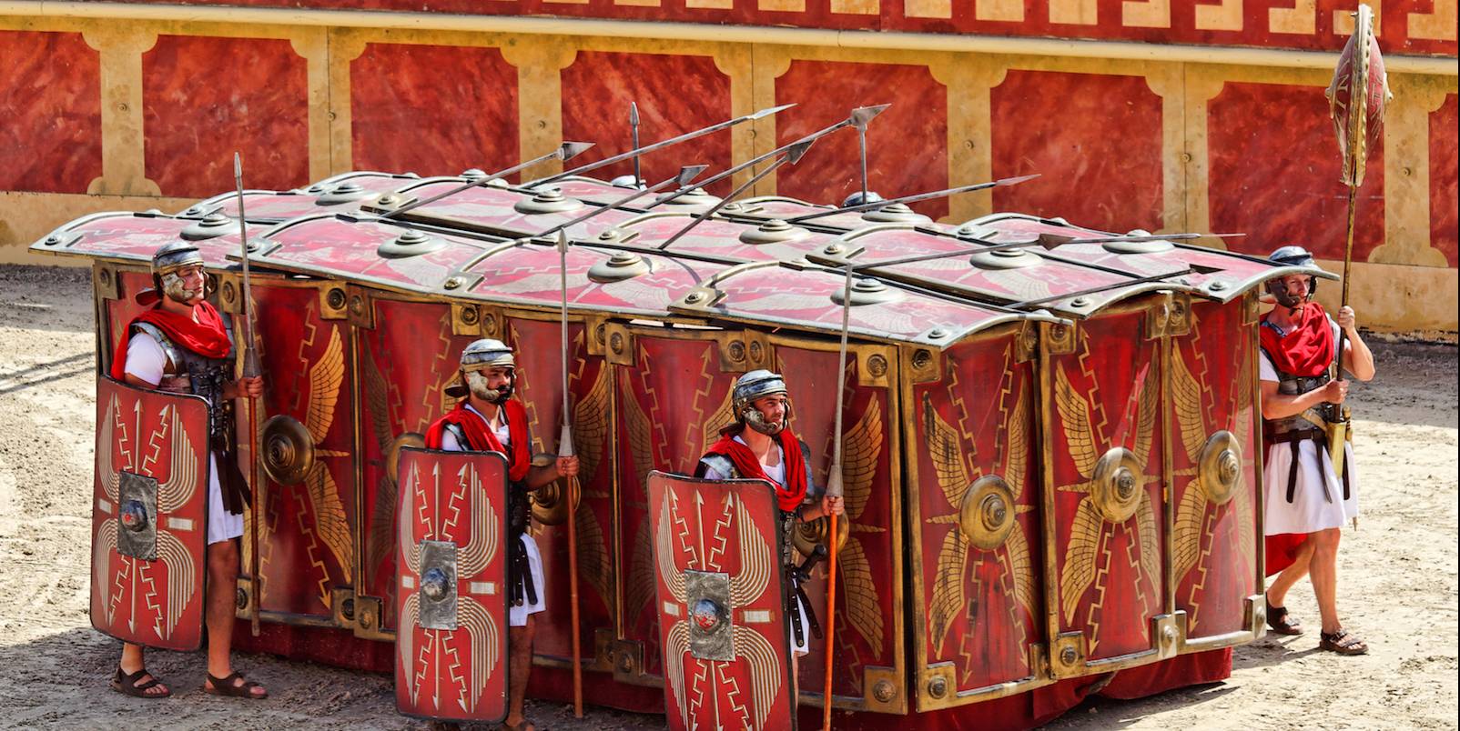 Tortue - Puy du Fou