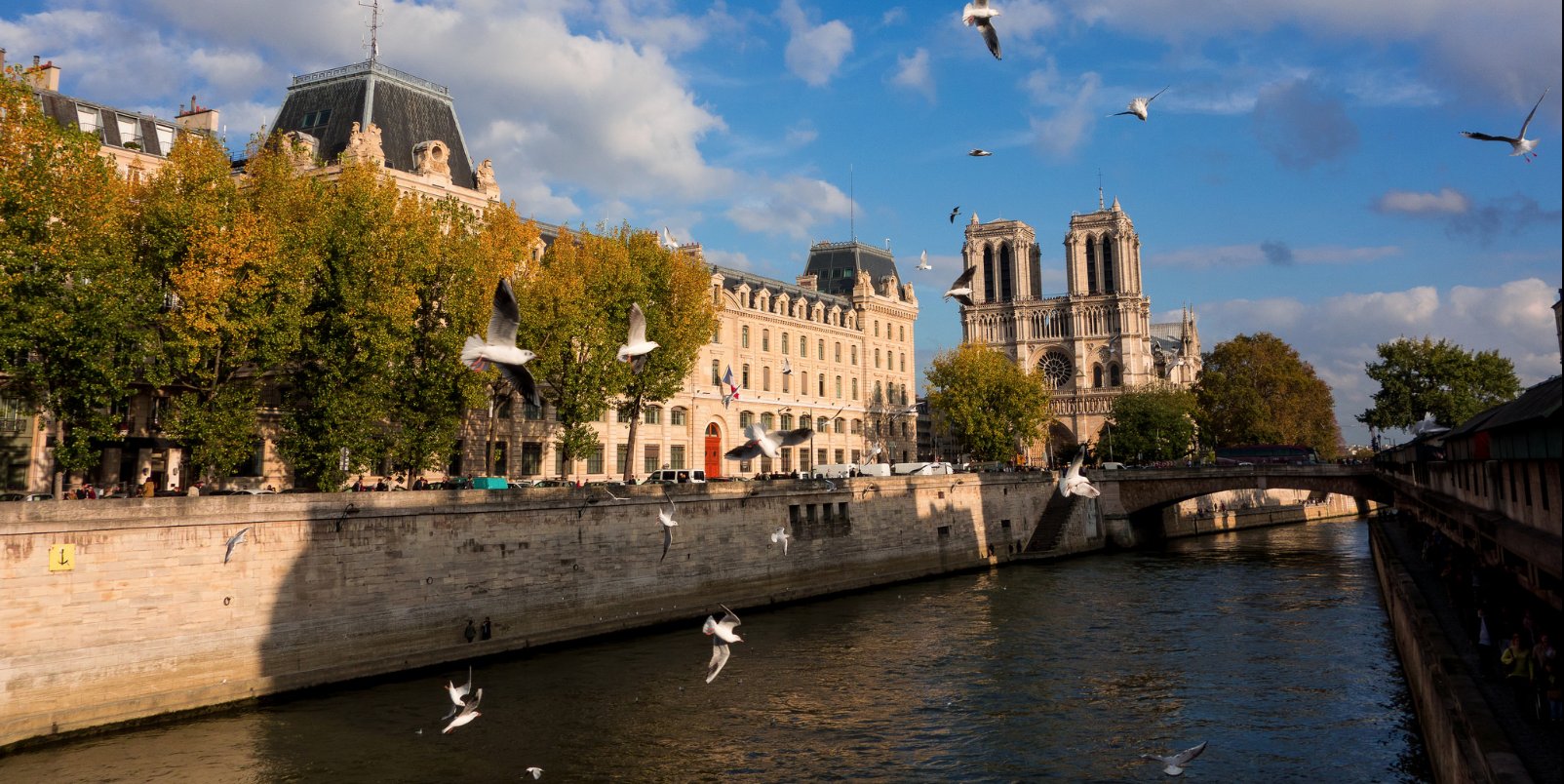Notre-Dame de Paris