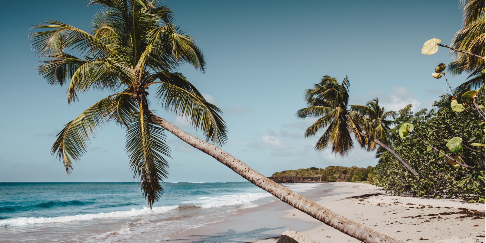 Plage en Martinique