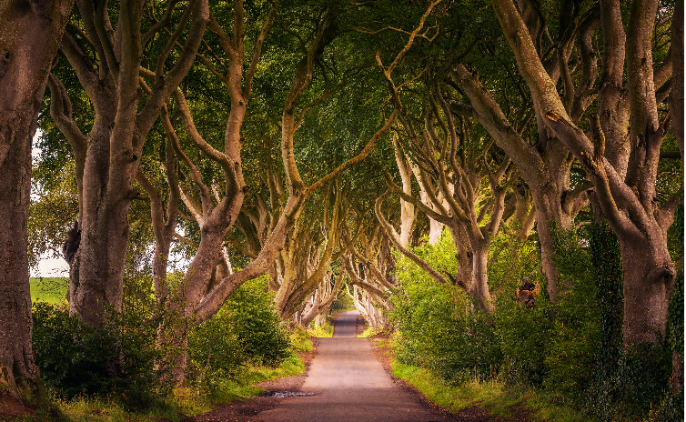 Explorez l'Irlande