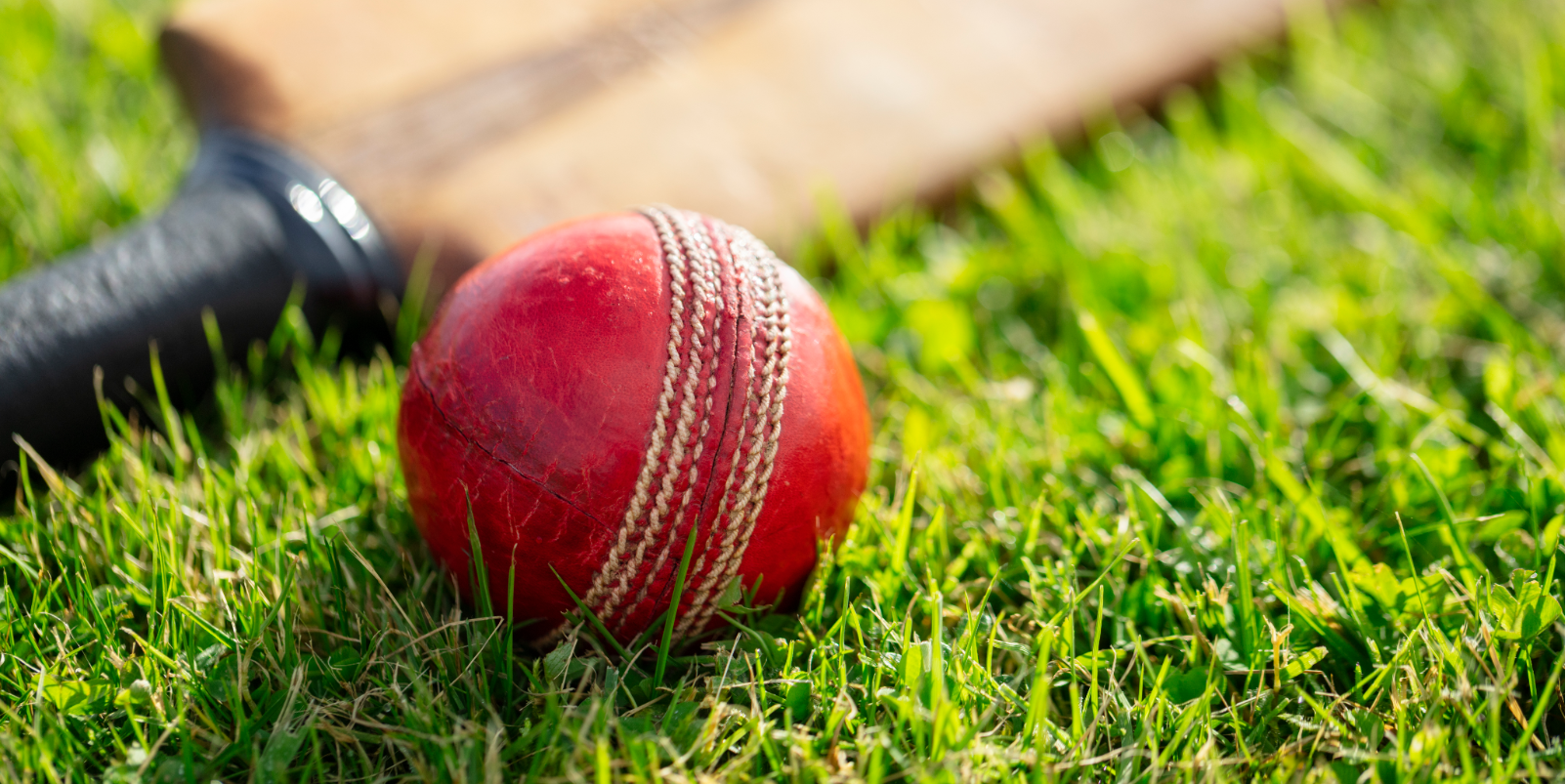 Cricket