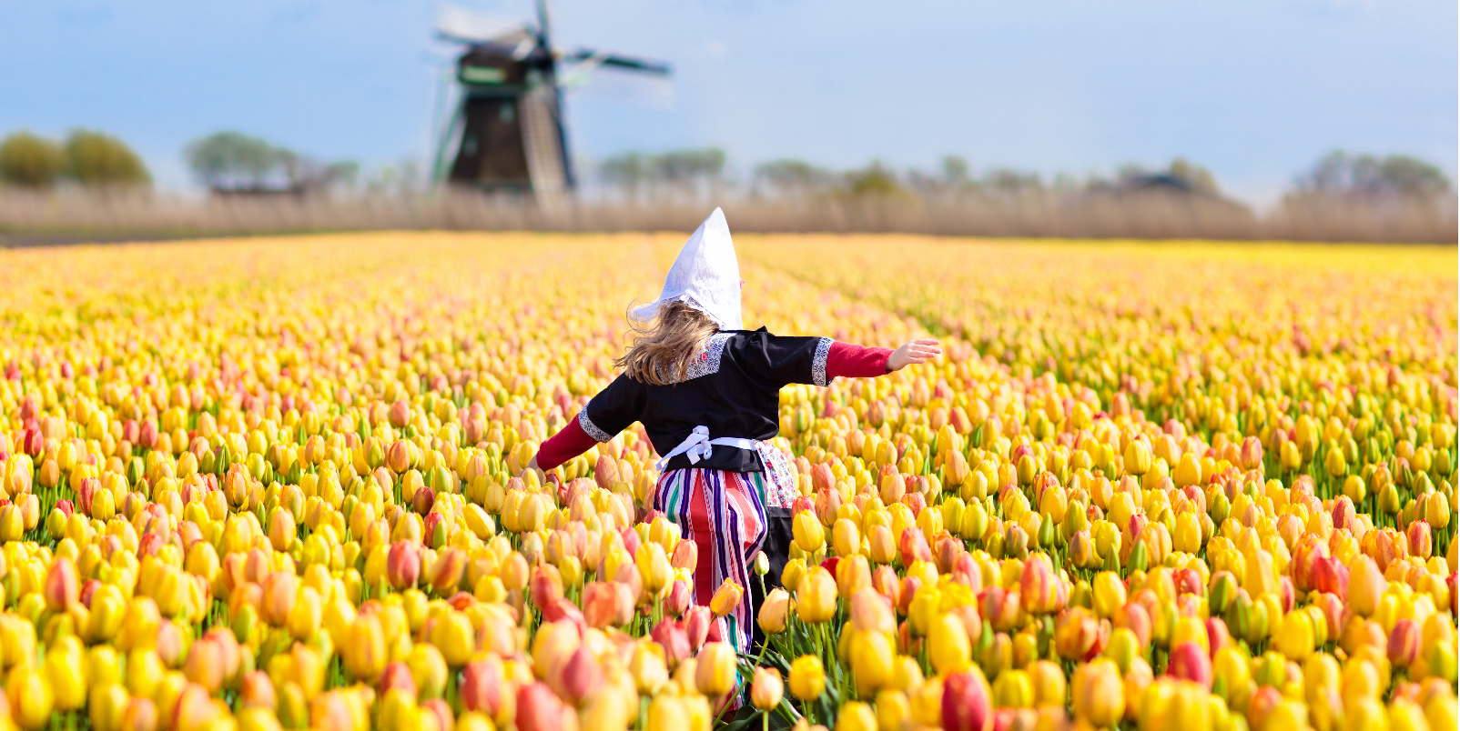 Child in tulip flower in Holland