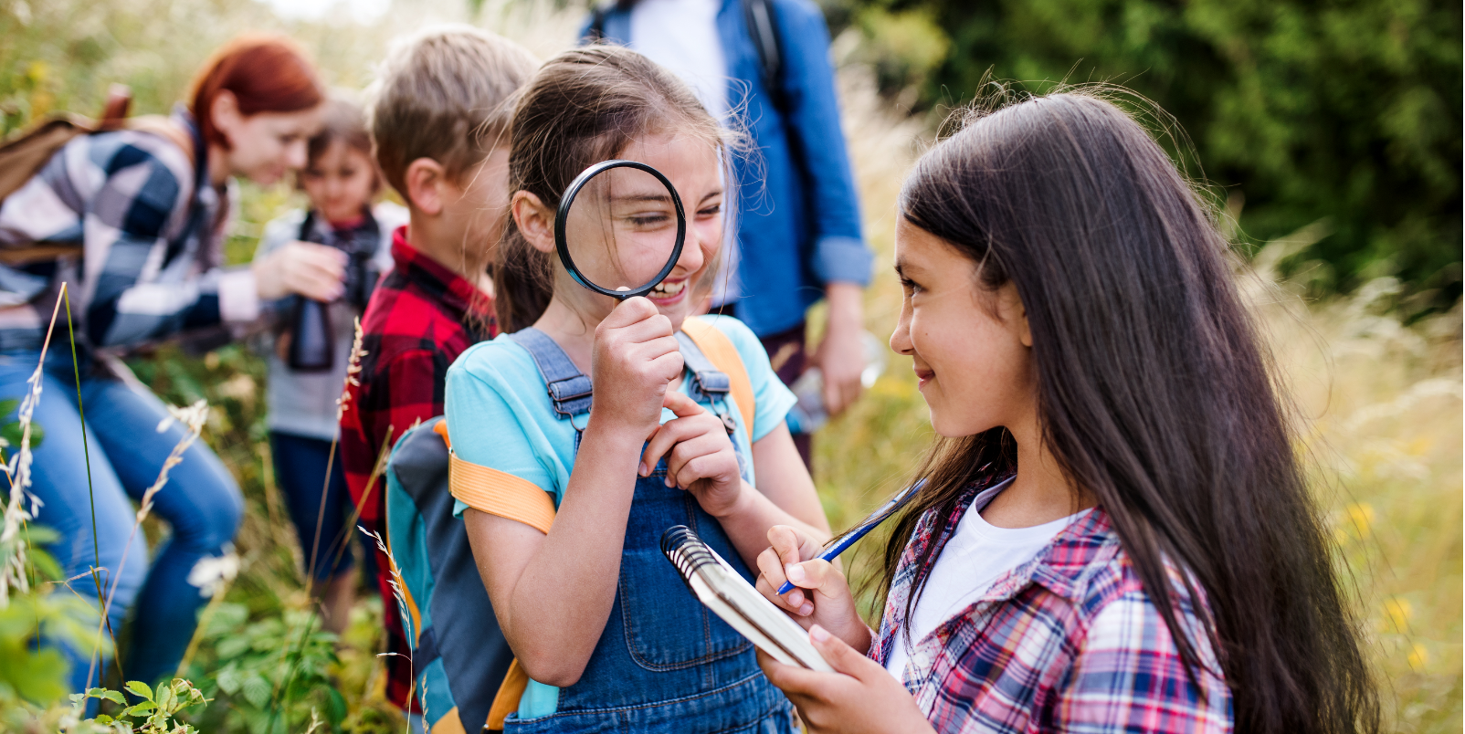 Sortie scolaire