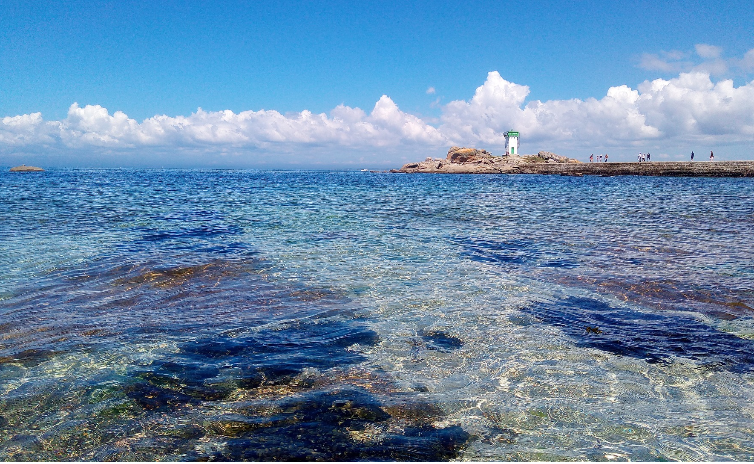 Sensibilisez vos élèves aux enjeux de la Mer