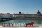 Only Lyon
