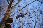 Accrobranche -