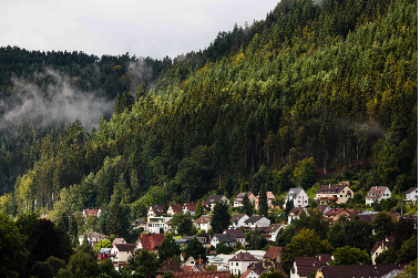 Fribourg et Strasbourg sans frontières - Bade-Wurtemberg