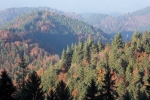 Automne en Forêt Noire