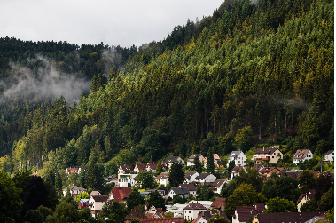 La forêt noire et Europa Park - Bade-Wurtemberg