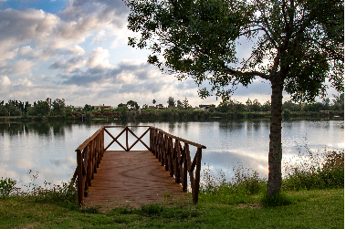 A la découverte du Delta de l'Ebre - 