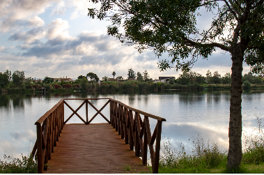 Escapade naturelle : le Delta de l'Ebre - Barcelone et Catalogne