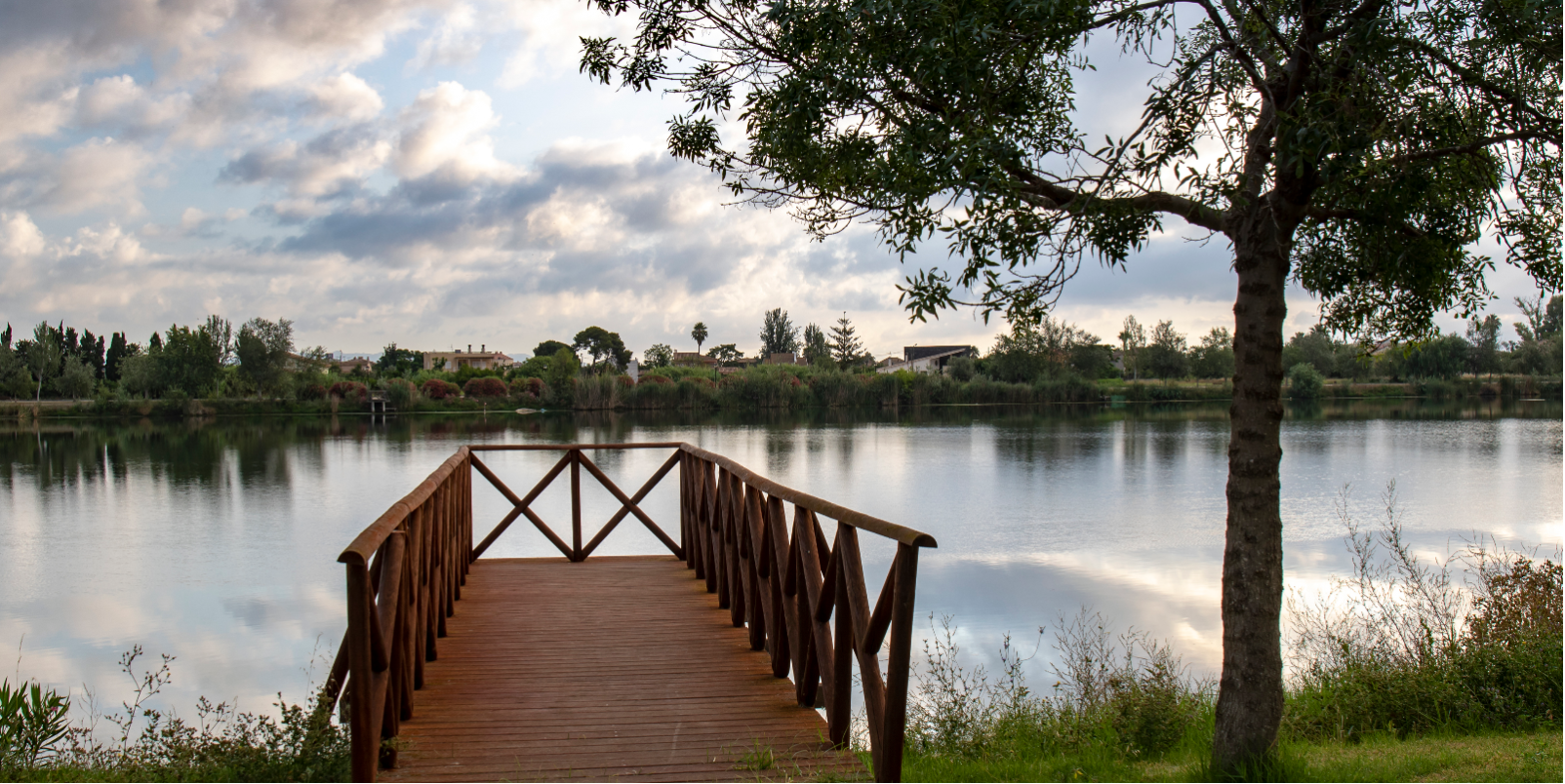 Rio Ebro Deltebre