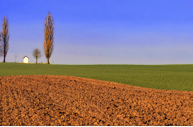 Agri'culture en Wallonie - Belgique
