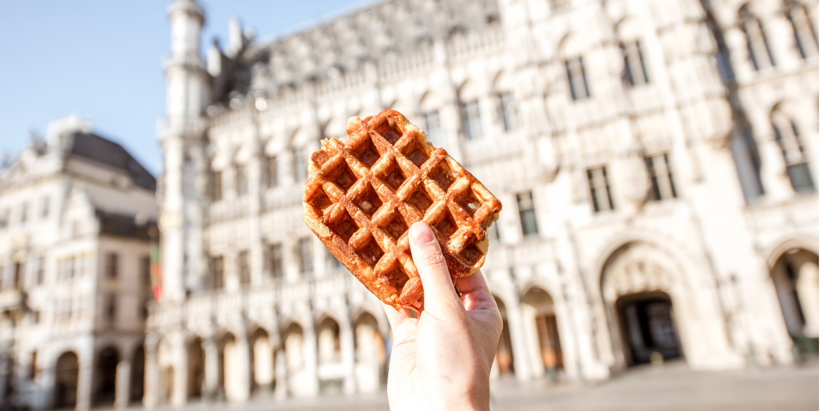 Traditional belgian waffle