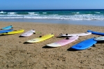 Surf