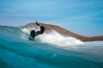Surf à Tenerife