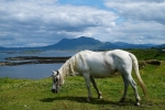 connemara