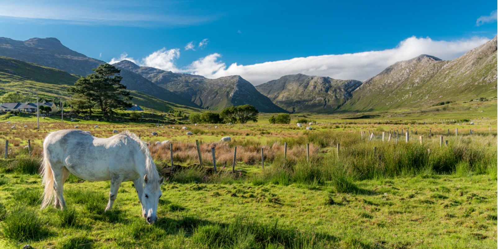 La région sauvage du Connemara