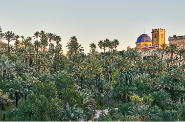 Stage Erasmus+ à Alicante - 