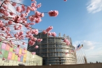 Chery blossom European Parliament