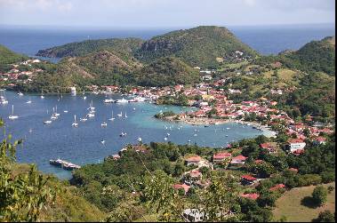 A La Decouverte De L Ile Papillon Guadeloupe Voyage Scolaire Antilles