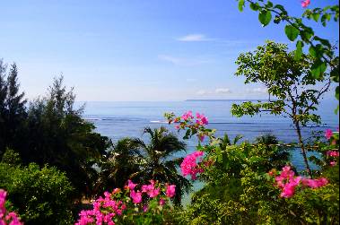 Guadeloupe La Traite Negriere Et L Esclavage Guadeloupe Voyage