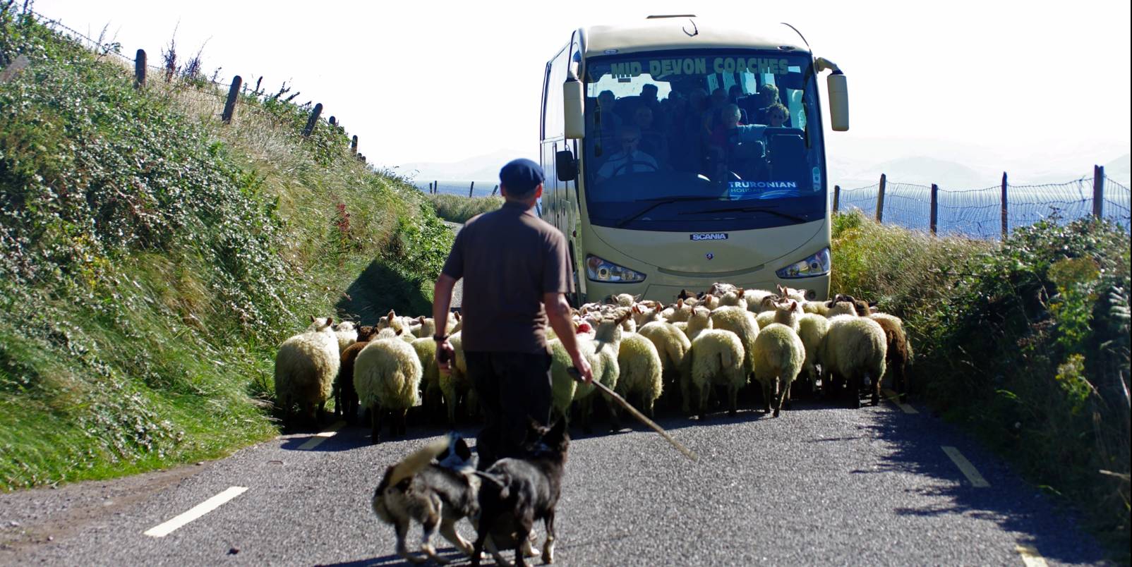 Sur Les Terres Agricoles Irlande Du Sud Voyage Scolaire Irlande