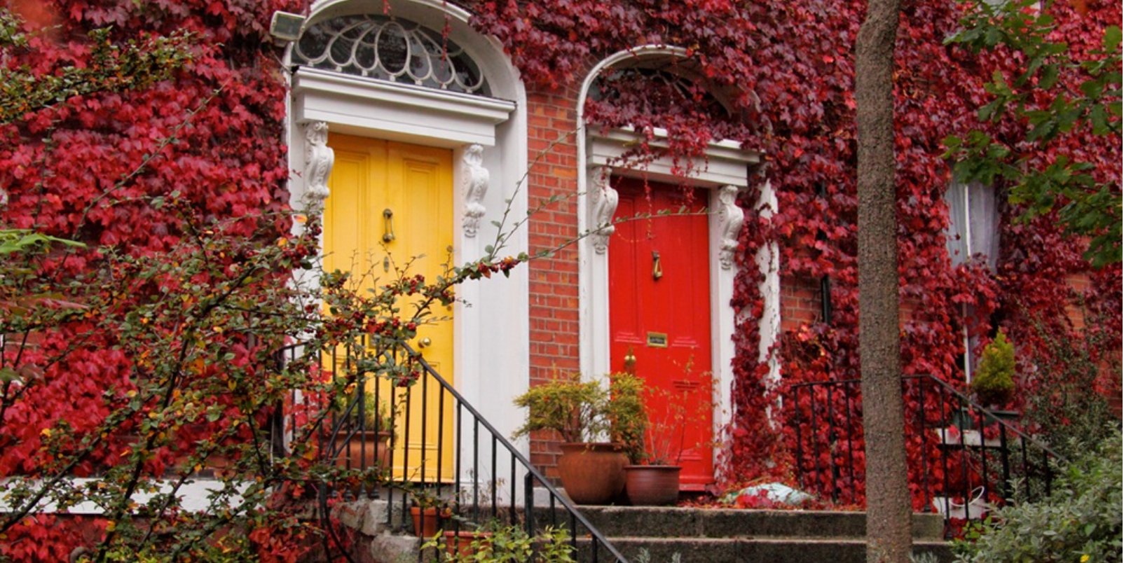 Portes colorées à Dublin