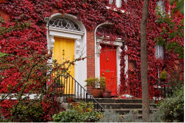 Apprendre l'anglais à Dublin - Leinster (Dublin)