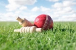 Cricket