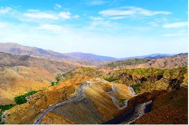 Maroc : mille et une récoltes - Maroc