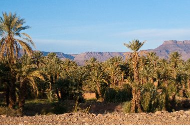 Marrakech : évasion au coeur des traditions - Maroc