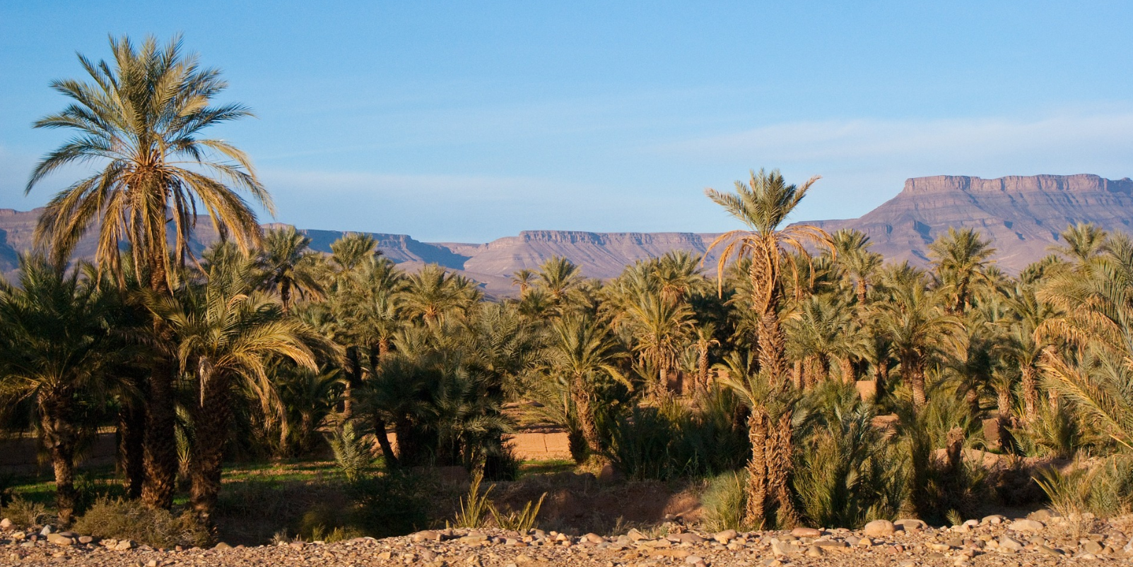 Desert Marocain