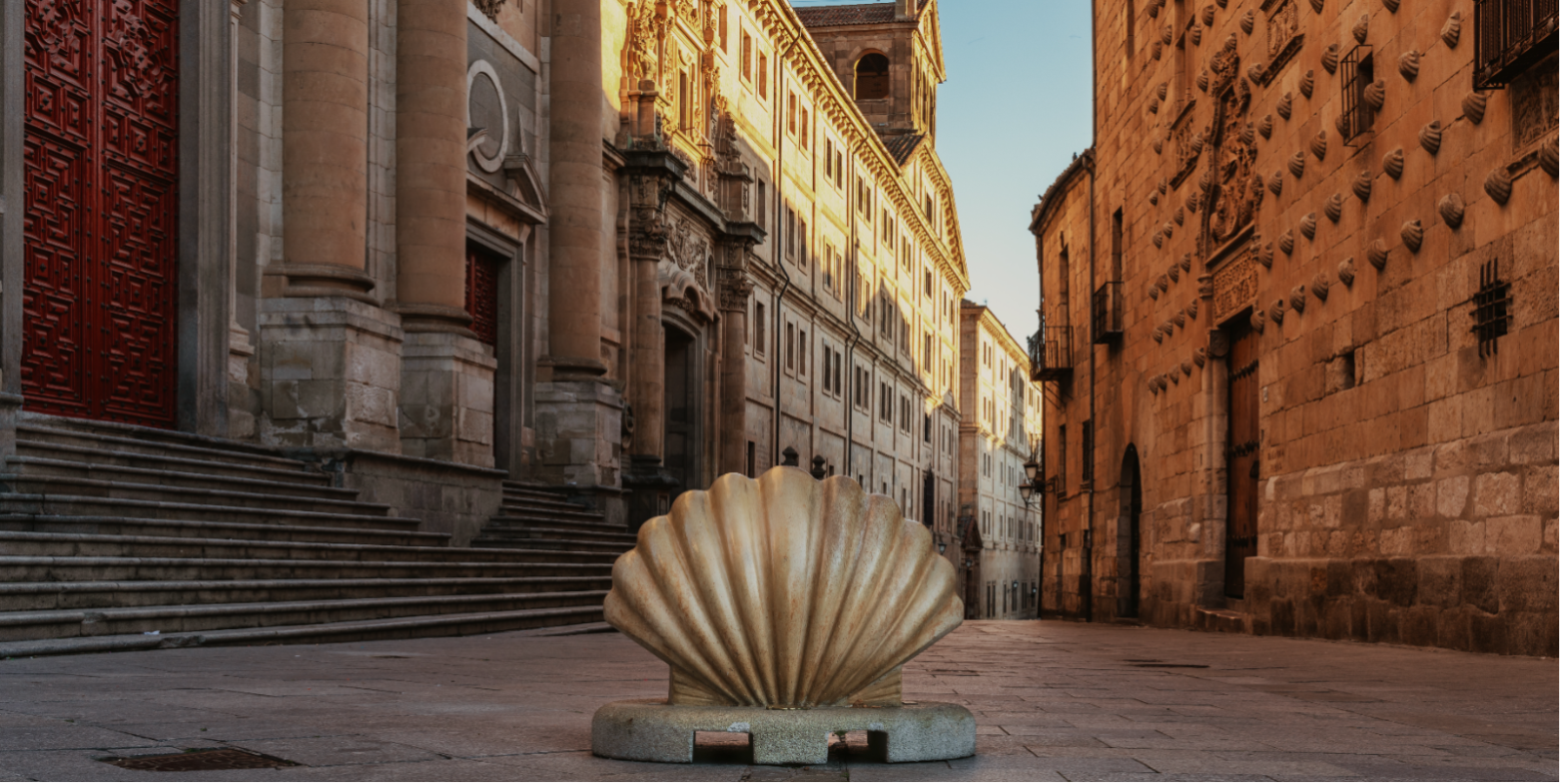 Coquille Saint Jacques de Compostelle