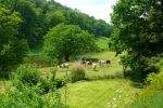 Bocade normand-Vallée de Vire