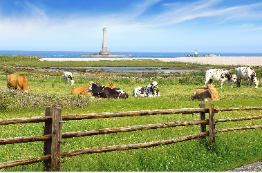 La Manche, entre terre et mer  - Normandie