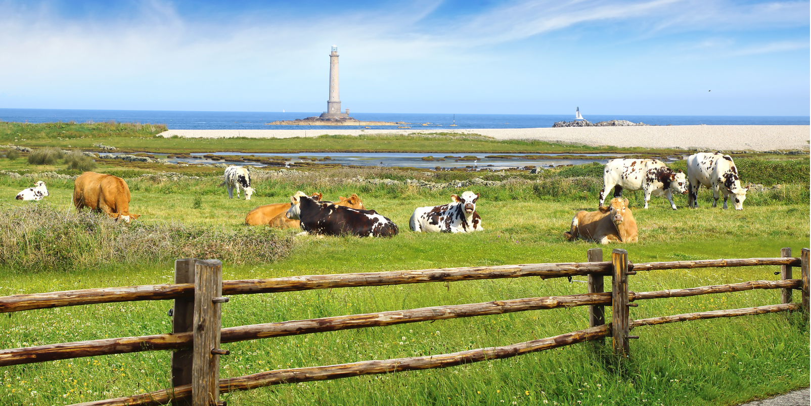 Phare du Cap, La Hague