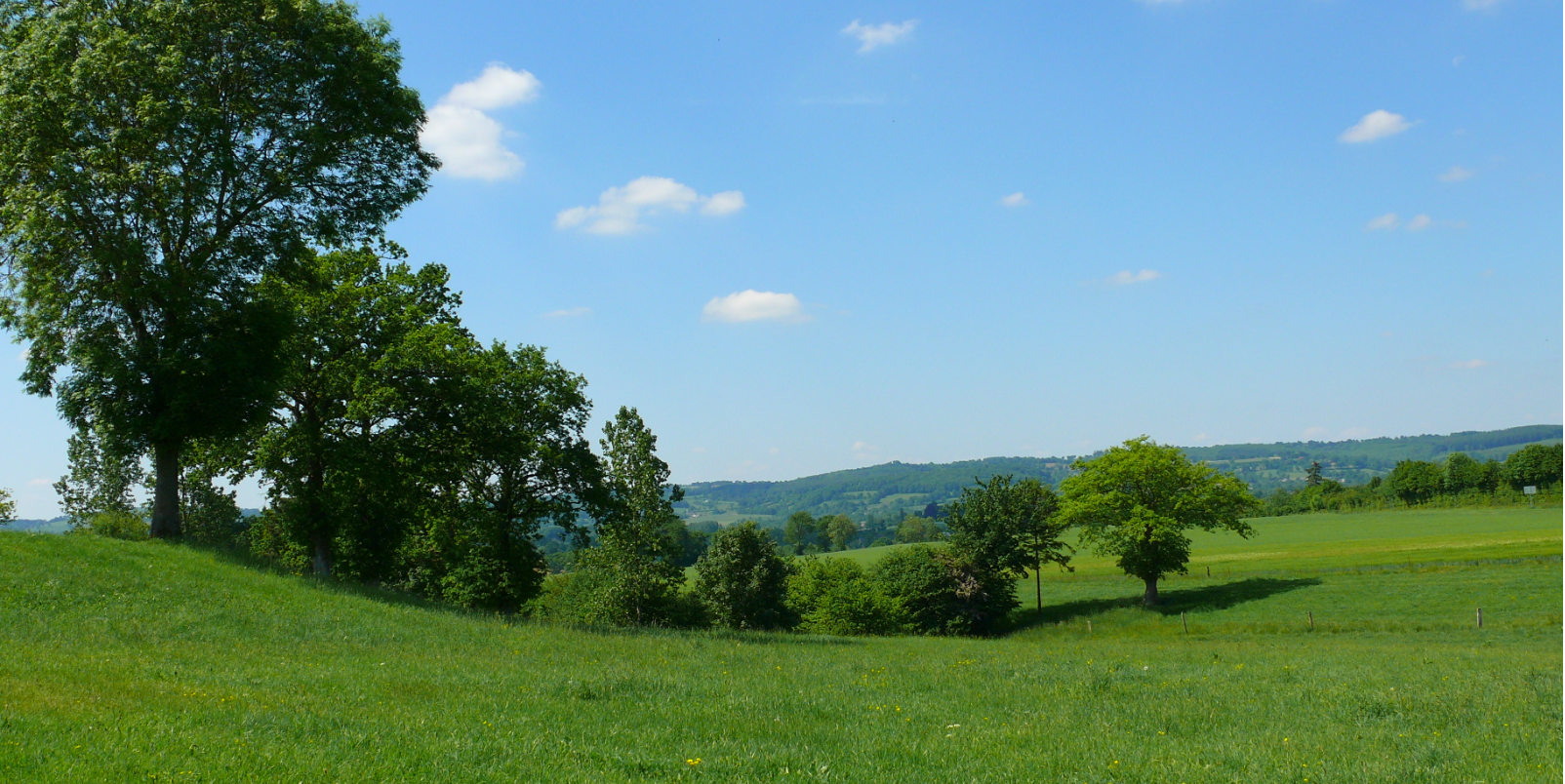 Bocage normand