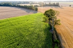 Campagne normande