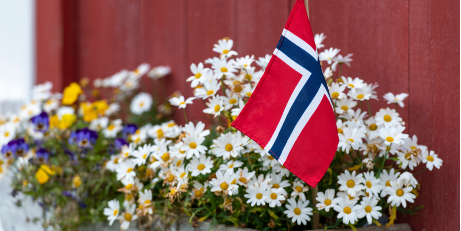 Drapeau et fleurs