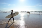 surf