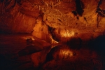 Grottes de Lascaux