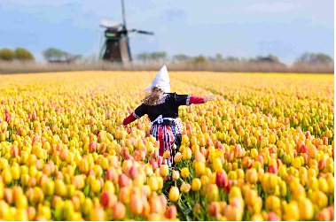 Amster' Dame Nature - Pays-Bas