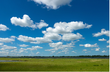 Green Holland - Pays-Bas