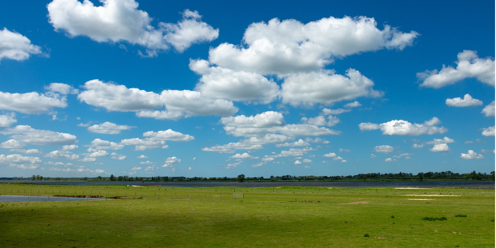 Biesbosch
