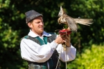 Un rapace avec son fauconnier