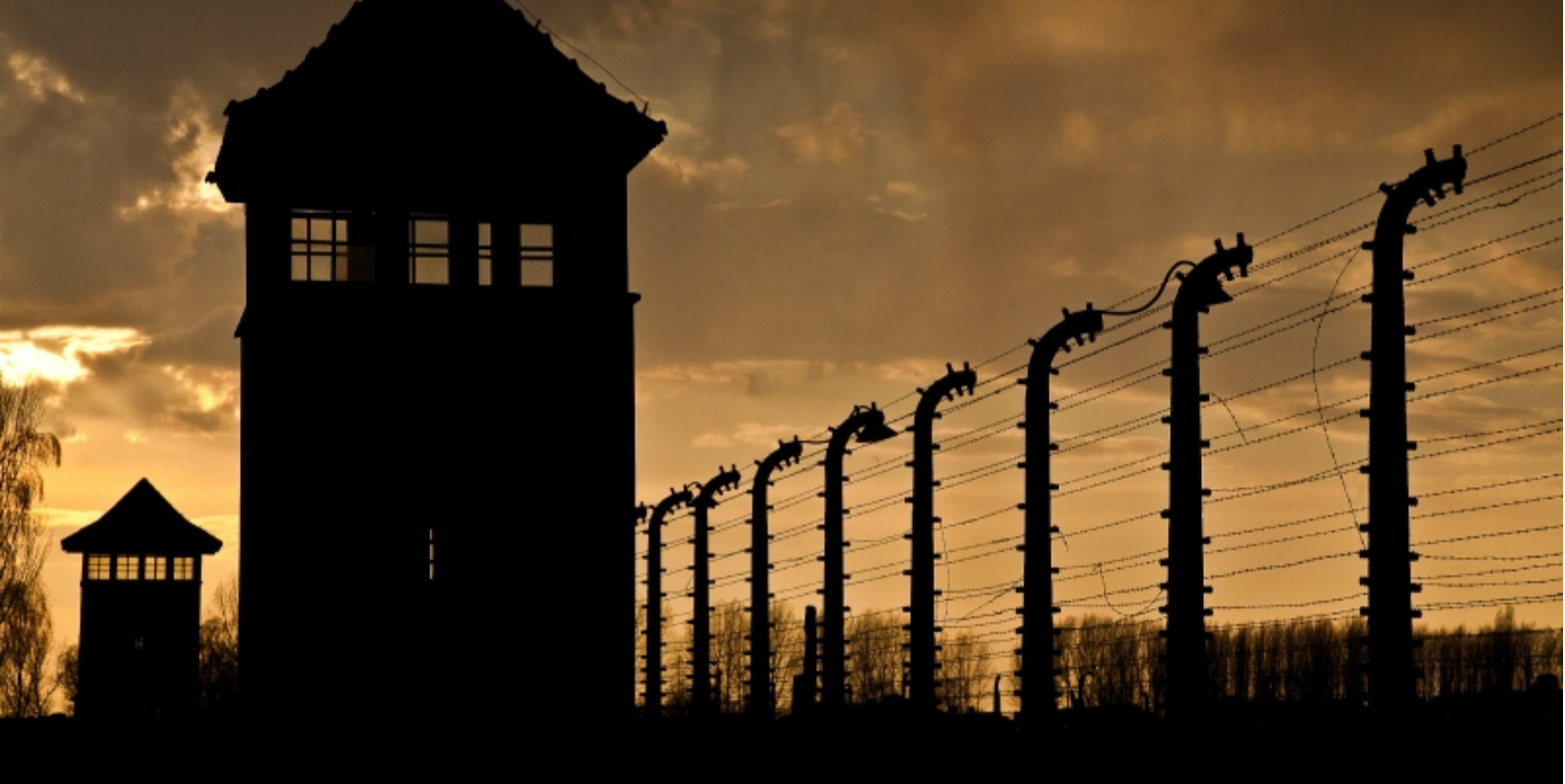 Cracovie Auschwitz histoire et mémoire, Pologne voyage scolaire Europe Centrale