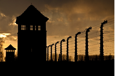 Cracovie - Auschwitz : histoire et mémoire - 